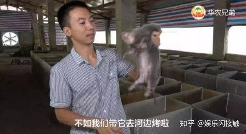 最新李牧吃瓜直播视频,揭秘娱乐圈最新热点事件