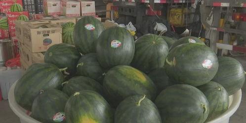 最近吃大瓜视频,吃瓜群众热议不断！