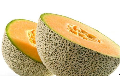 老鹰吃哈密瓜视频播放大全,惊心动魄的生态瞬间大盘点