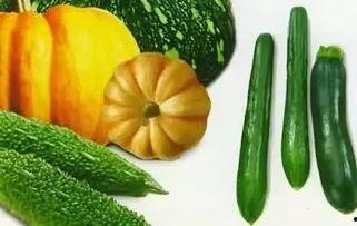 吃瓜视频是在哪里找到的,吃瓜视频的神秘来源地