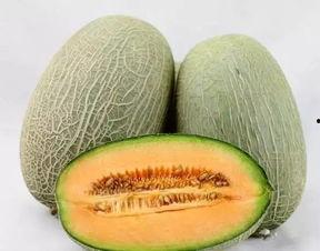 日本吃货哈密瓜视频,美味诱惑引发全民热议!