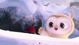 吃沙瓜搞笑视频,笑出腹肌的沙瓜奇遇记